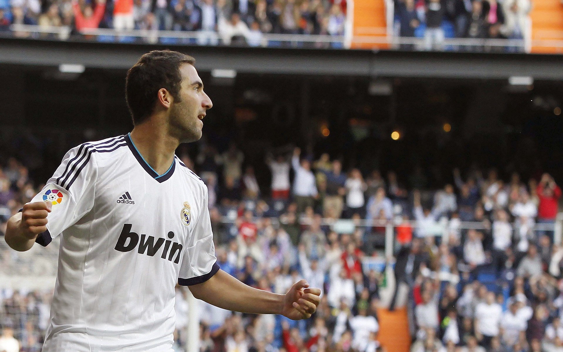 巴基斯坦重新燃起希望,球迷信心回来了,“巴基斯坦”